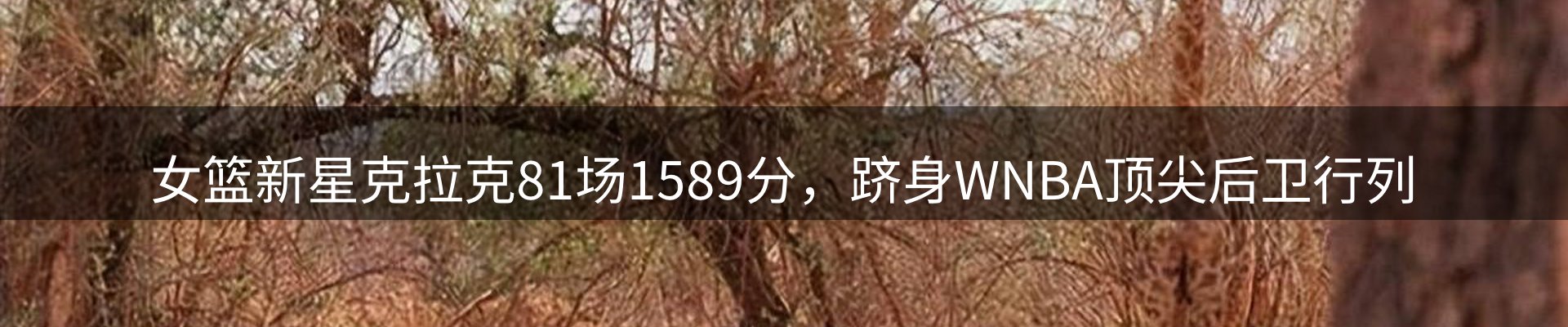 综合资讯
